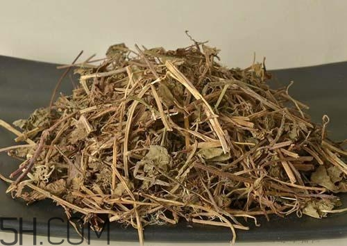 什么是透骨草？透骨草的功效與作用是什么？