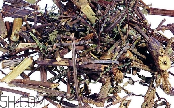 艾葉草洗澡有什么好處？怎么挑選艾葉草？