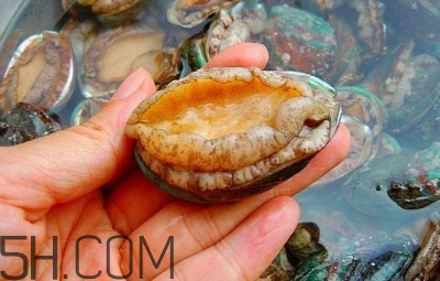 鮑魚(yú)怎么做好吃？吃鮑魚(yú)注意事項(xiàng)