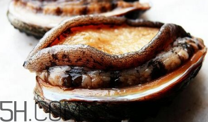新鮮鮑魚怎么洗才干凈？鮑魚做法大全