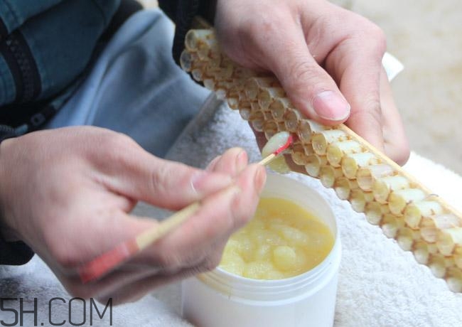 蜂王漿的營養(yǎng)成分有哪些？怎么辨別真假蜂王漿？