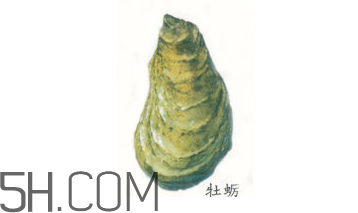 吃生蠔應(yīng)該注意哪些事項(xiàng)？生蠔與牡蠣的區(qū)別
