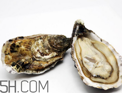 量吃生蠔有哪些好處？生蠔糖尿病人能吃嗎？
