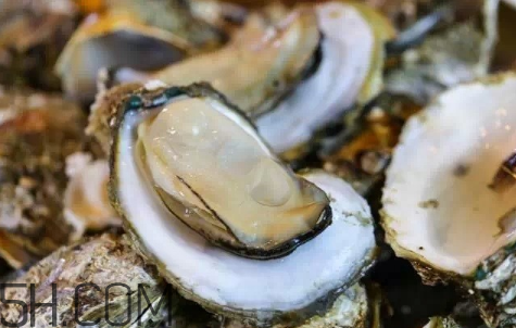 生蠔生吃好嗎？生蠔怎么吃最有營養(yǎng)？