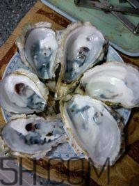 吃生蠔應(yīng)該注意哪些事項(xiàng)？生蠔與牡蠣的區(qū)別