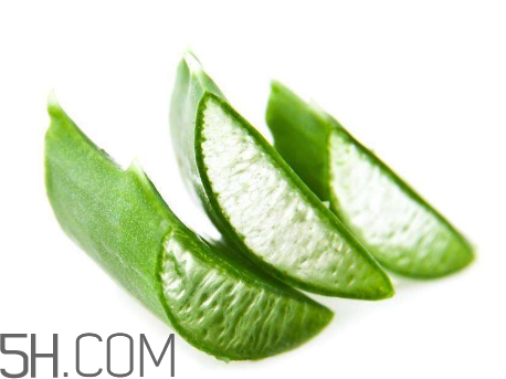 雅麗潔蘆薈膠有激素嗎？雅麗潔蘆薈膠測評
