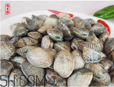 花甲可以冷凍嗎？養(yǎng)花甲鹽和水的比例是多少？