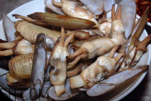 蟶子里面的黑色能吃嗎？蟶子為什么一撒鹽就出來？
