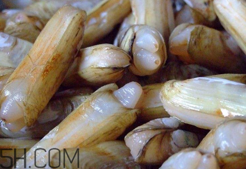 蟶子里面的黑色能吃嗎？蟶子為什么一撒鹽就出來？