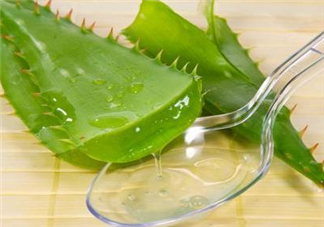 自然樂園蘆薈膠孕婦可以用嗎？自然樂園蘆薈膠使用心得