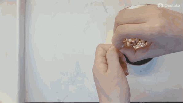 雅頓金膠怎么打開？雅頓金膠膠囊怎么扭開？