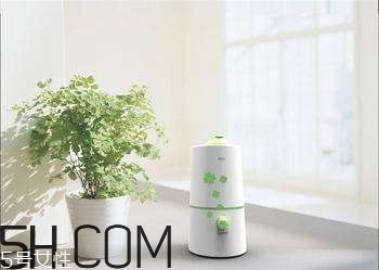 加濕器的使用誤區(qū)有哪些？加濕器的功能介紹