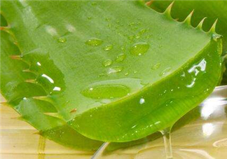 自然樂園蘆薈膠怎么用？自然樂園蘆薈膠使用方法