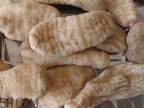 天麻能泡水喝嗎？吃天麻有什么作用？