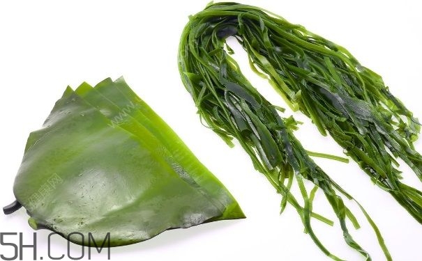 海帶的做法有哪些？怎么挑選優(yōu)質(zhì)海帶？