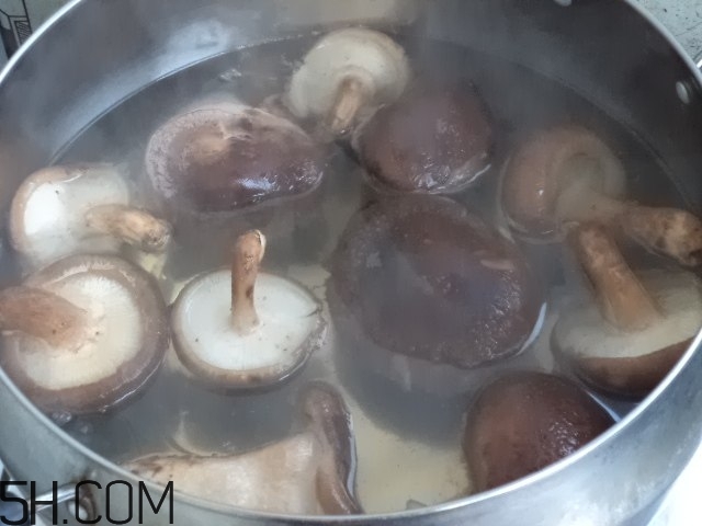 香菇和白蘿卜可以一起吃嗎？香菇和白蘿卜一起吃有什么好處？