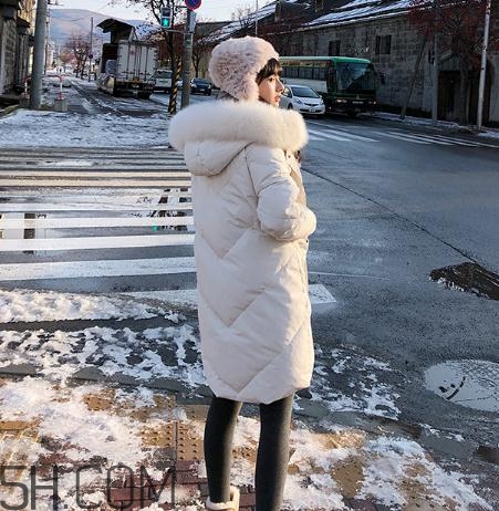 鵝絨羽絨服大概多少錢？白鵝絨羽絨服多少錢一件？
