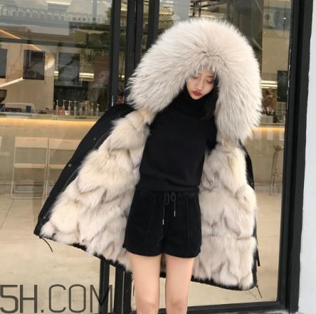 派克大衣內(nèi)膽什么毛好？派克服什么內(nèi)膽好？