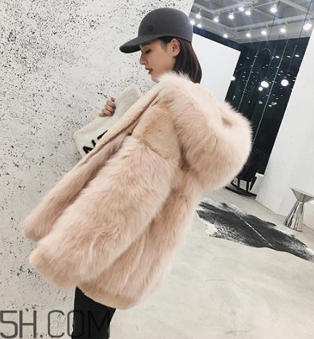 獺兔毛和兔毛哪個好？獺兔毛和兔毛的區(qū)別
