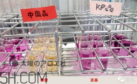 太陽社玻尿酸孕婦能用嗎？怎樣辯別真假太陽社玻尿酸？