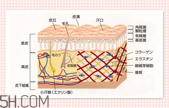 水光針可以祛斑嗎？涂抹式水光針的效果好嗎？
