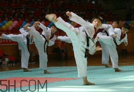 武術(shù)和跆拳道哪個(gè)對(duì)孩子好？武術(shù)和跆拳道的區(qū)別在哪里？