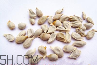 不小心吃了橘子籽怎么辦？橘子籽可以生吃嗎？