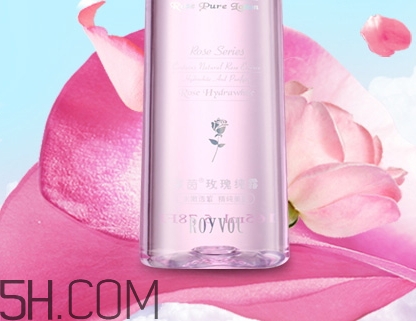 royvol萊茵是什么牌子？royvol萊茵是哪個國家的