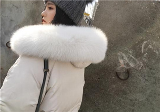 狐貍毛領會掉毛嗎？狐貍毛領掉毛怎么辦？
