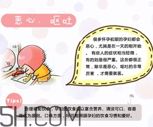 懷孕了應(yīng)該如何調(diào)理？懷孕了如何根據(jù)體質(zhì)調(diào)養(yǎng)？