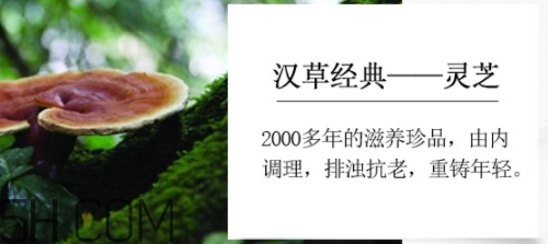 羽西小鮮瓶安瓶怎么用？羽西小鮮瓶安瓶怎么樣