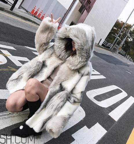 十字貂和水貂哪個好？十字貂和水貂哪個貴？