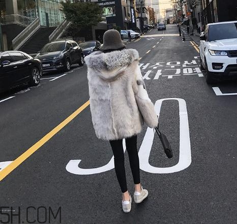 十字貂和水貂哪個好？十字貂和水貂哪個貴？