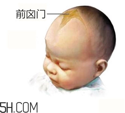 寶寶囟門是怎樣的一個部位？寶寶的囟門要怎樣保護比較好？