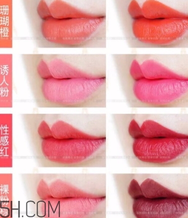 唇膏盤怎么用？口紅盤怎么用法