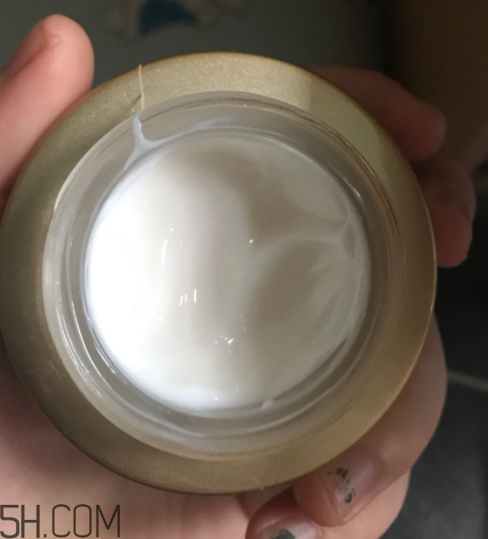 詩婷露雅蝸牛面霜適合秋冬嗎？適合油皮嗎？