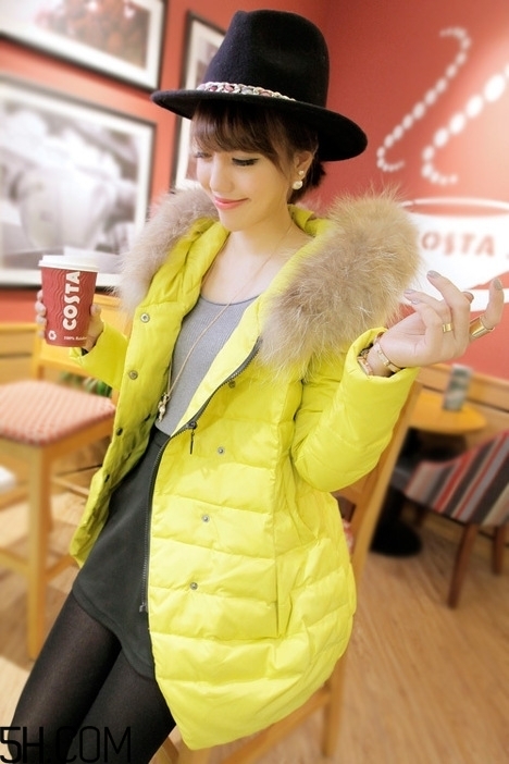 最貴的羽絨服什么價(jià)格？羽絨服什么牌子的好？