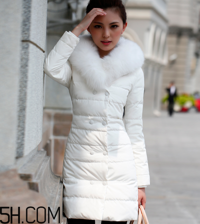 最貴的羽絨服什么價(jià)格？羽絨服什么牌子的好？
