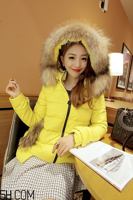 最貴的羽絨服什么價(jià)格？羽絨服什么牌子的好？
