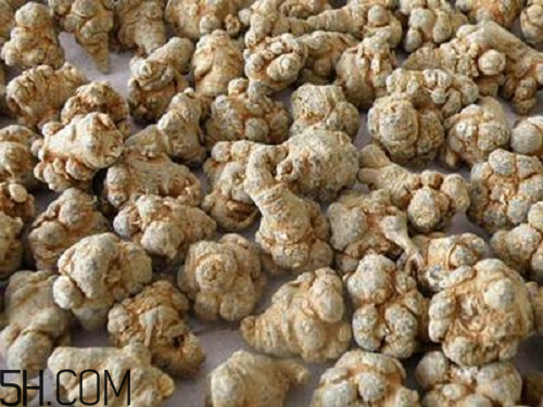 三七粉苦的好還是不苦的好？三七粉越苦越好嗎？