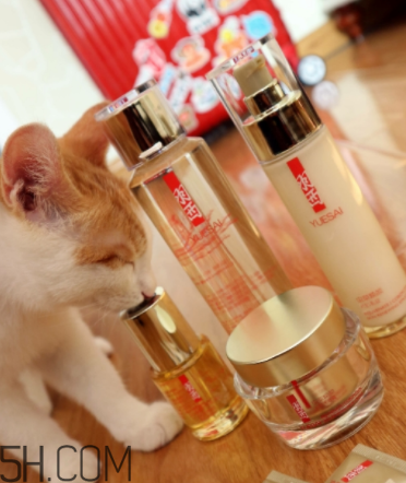 羽西蟲草新肌水有什么功效？適合什么膚質(zhì)？