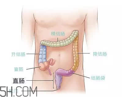 宿便有什么危害？如何清除宿便？