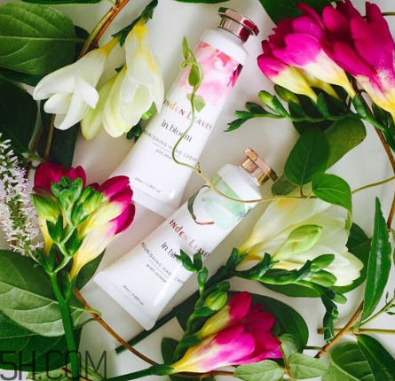 linden leaves香氛護手霜好用嗎？laura ashley護手霜好用嗎？