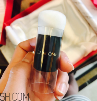 蘭蔻菁純氣墊粉底液110號(hào)色適合黃皮嗎？真人試色