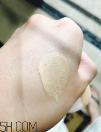 蘭蔻菁純氣墊粉底液110號(hào)色適合黃皮嗎？真人試色
