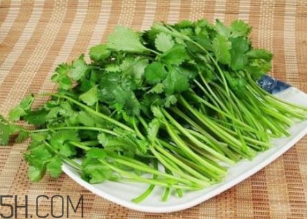 香菜根煮水怎么煮？香菜根煮水喝幾天見效？