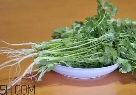 香菜根煮水能減肥嗎？香菜根煮水能天天喝嗎？