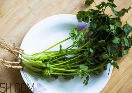 香菜根煮水能減肥嗎？香菜根煮水能天天喝嗎？
