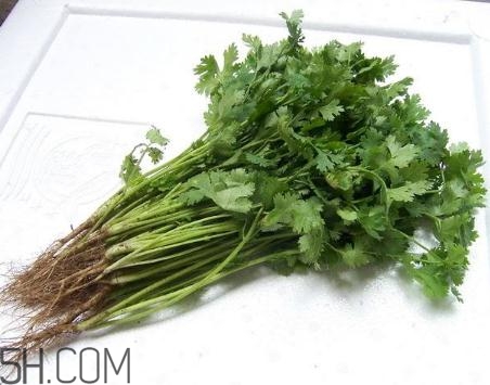 香菜根煮水能美白嗎？香菜根煮水能祛斑嗎？