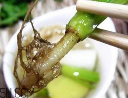 香菜根煮水能美白嗎？香菜根煮水能祛斑嗎？